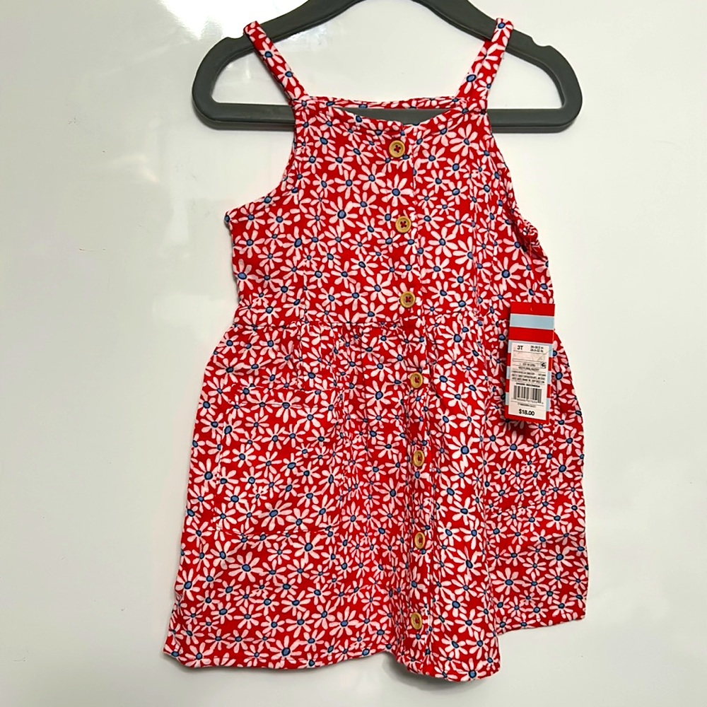 Cat and Jack 3T Dress